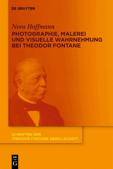 Nora Hoffmann - Photographie, Malerei und visuelle Wahrnehmung bei Theodor Fontane, Inbunden