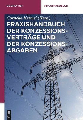 Cornelia Kermel - Praxishandbuch Der Konzessionsverträge Und Der Konzessionsabgaben, Inbunden