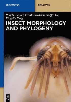 Rolf G. Beutel, Frank Friedrich, Xing-Ke Yang, Si-Qin Ge - Insect Morphology and Phylogeny, Inbunden