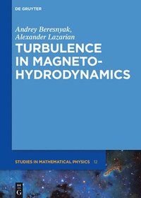 bokomslag Turbulence in Magnetohydrodynamics
