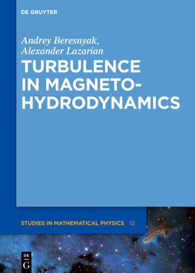 Andrey Beresnyak, Alexander Lazarian - Turbulence in Magnetohydrodynamics, Inbunden