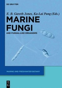 bokomslag Marine Fungi