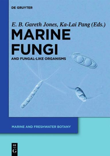 bokomslag Marine Fungi