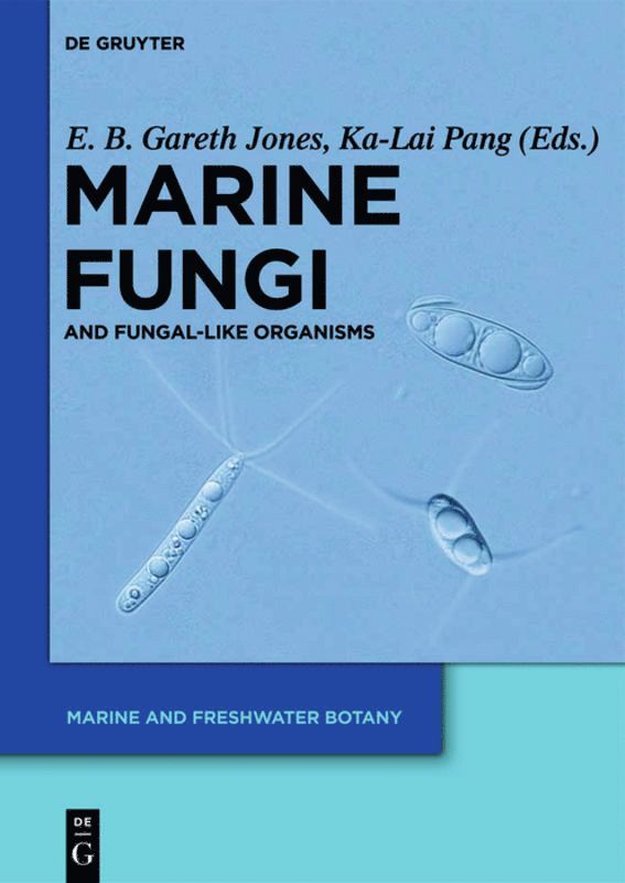 Marine Fungi