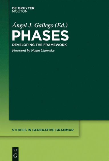 bokomslag Phases