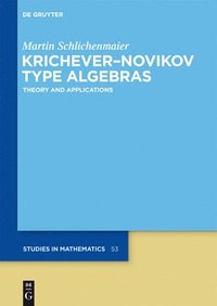 bokomslag KricheverNovikov Type Algebras