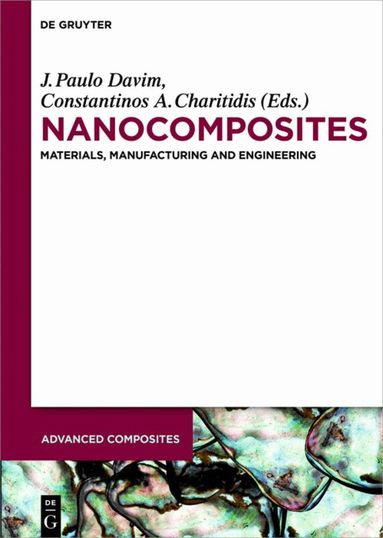 Valter Bavastrello, Zhenyu Jiang - Nanocomposites, Inbunden