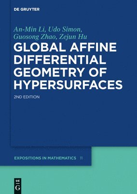 bokomslag Global Affine Differential Geometry of Hypersurfaces