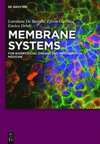 bokomslag Membrane Systems