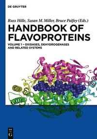 bokomslag Oxidases, Dehydrogenases and Related Systems