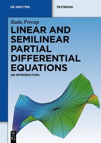 bokomslag Linear and Semilinear Partial Differential Equations