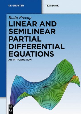 bokomslag Linear and Semilinear Partial Differential Equations