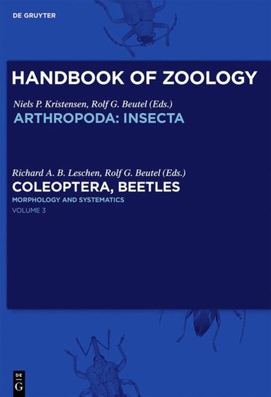 Miguel A. Alonso-Zarazaga, Rolf G. Beutel - Morphology and Systematics, Inbunden
