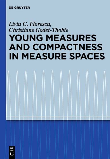 Liviu C. Florescu, Christiane Godet-Thobie - Young Measures and Compactness in Measure Spaces, Inbunden