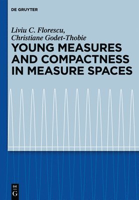 bokomslag Young Measures and Compactness in Measure Spaces