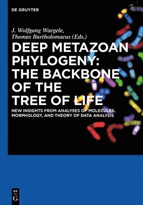 Deep Metazoan Phylogeny: The Backbone of the Tree of Life 1