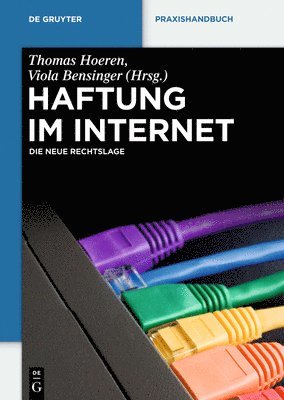 bokomslag Haftung im Internet