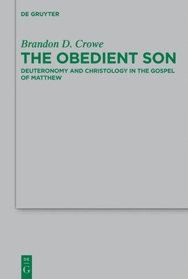 The Obedient Son 1