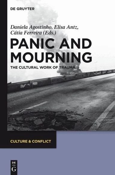 Daniela Agostinho, Elisa Antz, Cátia Ferreira - Panic and Mourning, Inbunden