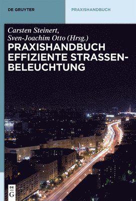 bokomslag Praxishandbuch effiziente Straßenbeleuchtung