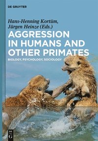 bokomslag Aggression in Humans and Other Primates