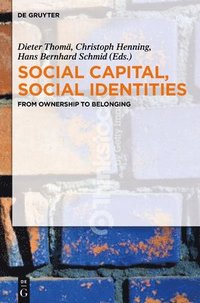 bokomslag Social Capital, Social Identities