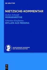 bokomslag Kommentar Zu Nietzsches Morgenrthe, Idyllen Aus Messina