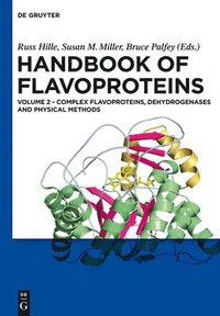 bokomslag Complex Flavoproteins, Dehydrogenases and Physical Methods