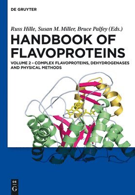 Complex Flavoproteins, Dehydrogenases and Physical Methods 1