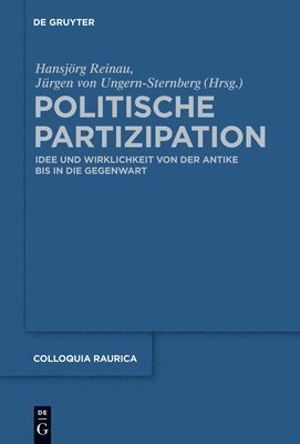 bokomslag Politische Partizipation