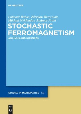 Lubomir Banas, Zdzislaw Brzezniak, Mikhail Neklyudov, Andreas Prohl - Stochastic Ferromagnetism, Inbunden