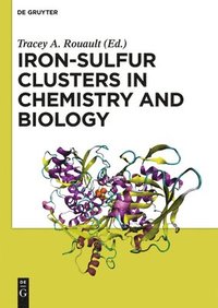 bokomslag Iron-Sulfur Clusters in Chemistry and Biology