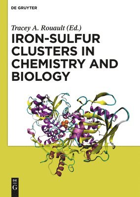 bokomslag Iron-Sulfur Clusters in Chemistry and Biology