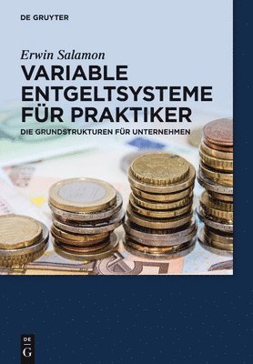 bokomslag Variable Entgeltsysteme fr Praktiker