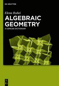 bokomslag Algebraic Geometry