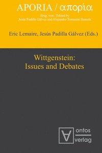 bokomslag Wittgenstein: Issues and Debates