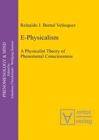 bokomslag E-Physicalism