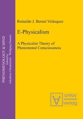 bokomslag E-Physicalism