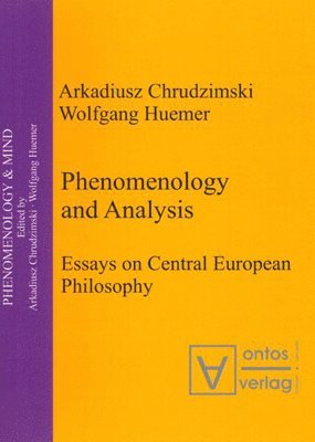 Phenomenology & Analysis 1