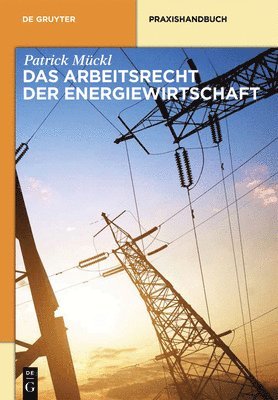 bokomslag Das Arbeitsrecht der Energiewirtschaft