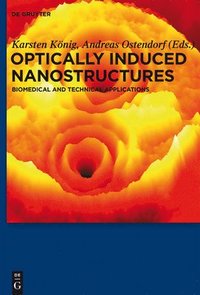 bokomslag Optically Induced Nanostructures