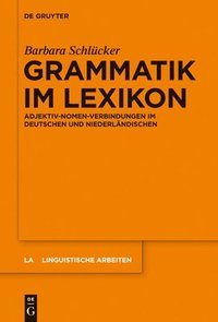 bokomslag Grammatik im Lexikon