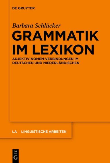 Barbara Schlücker - Grammatik im Lexikon, Inbunden
