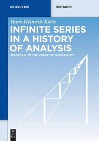 bokomslag Infinite Series in a History of Analysis