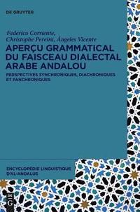 bokomslag Aperu grammatical du faisceau dialectal arabe andalou