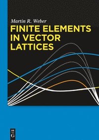 bokomslag Finite Elements in Vector Lattices