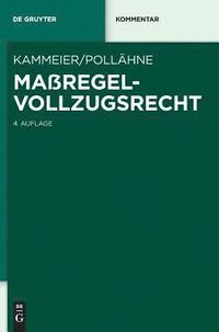 bokomslag Maßregelvollzugsrecht