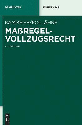bokomslag Maßregelvollzugsrecht