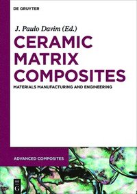 bokomslag Ceramic Matrix Composites