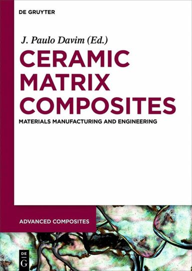 J. Paulo Davim - Ceramic Matrix Composites, Inbunden